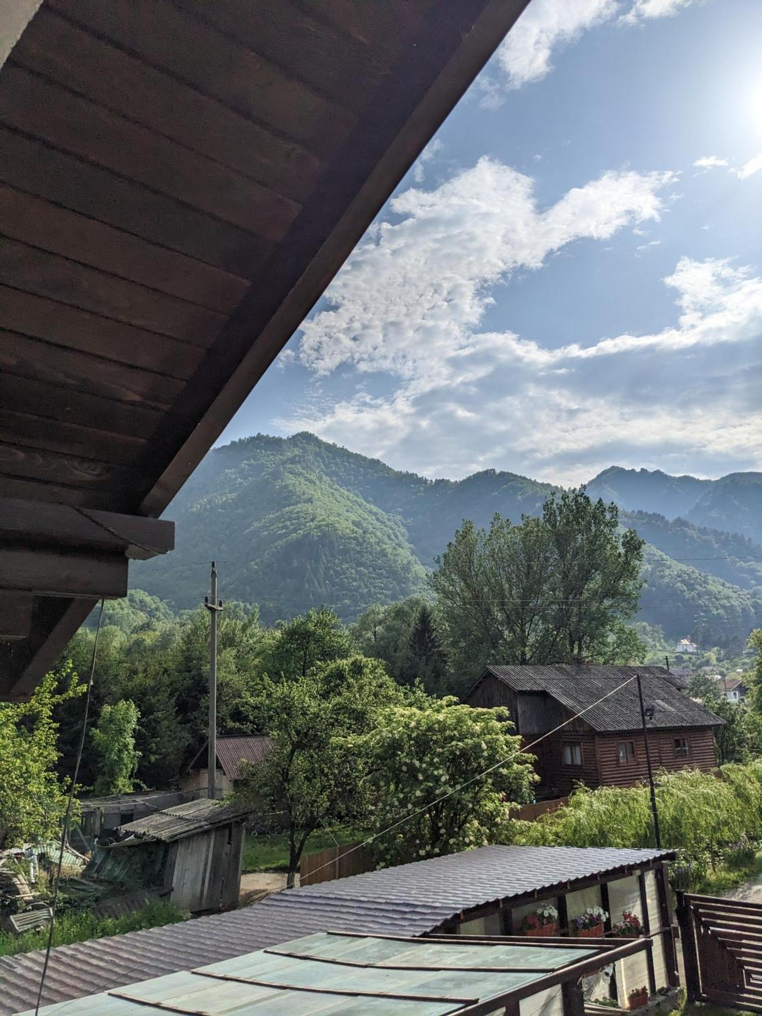 Riverside Brezoi Cameră foto