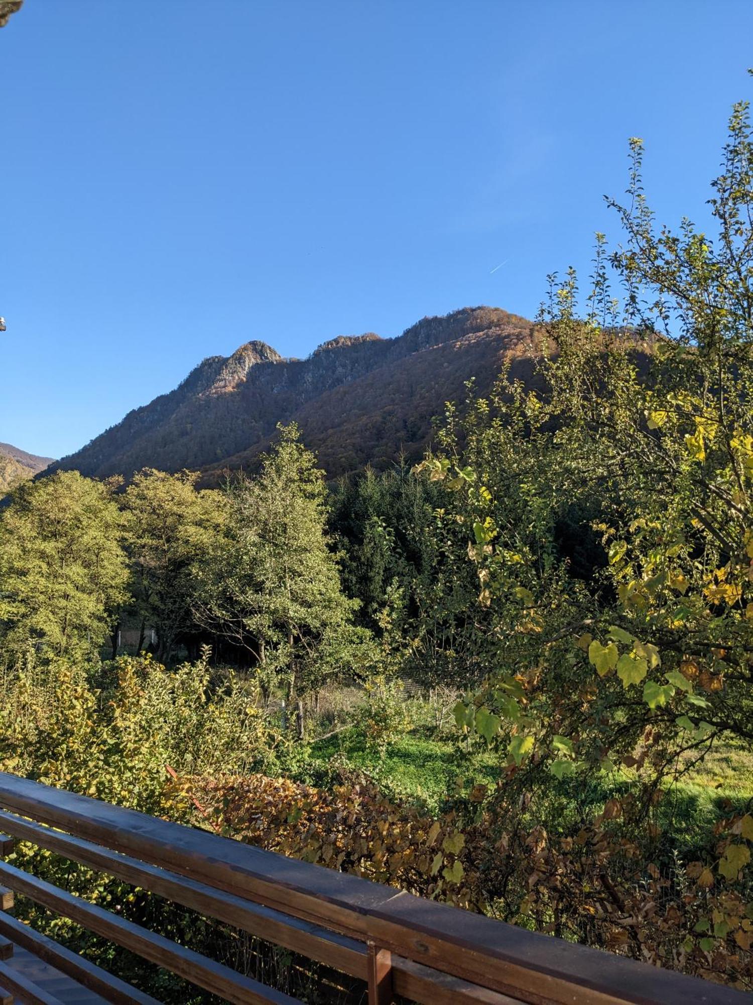 Riverside Brezoi Cameră foto